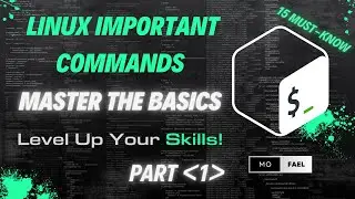 Essential Linux Commands for Beginners |  Part 1