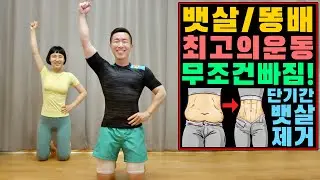 뱃살 아랫뱃살 최고의 운동