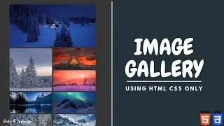 HOW TO MAKE IMAGE GALLERY USING CSS | RESPONSIVE IMAGE GALLERY WITH SOURCE CODE | CODE TO INFINITY