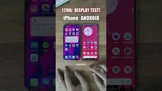 iPhone vs Android - 120Hz Display Test 😎 #shorts
