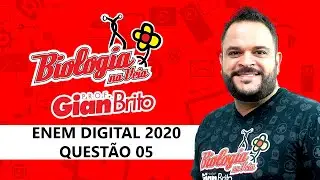 UNIDADES EVOLUTIVAS SIGNIFICATIVAS NA PROVA ENEM DIGITAL 2020 - QUESTÃO 05