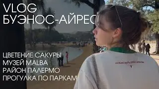 BUENOS AIRES VLOG прогулка по Буэнос Айресу, парки района Палермо, цветение сакуры, музей MALBA