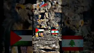 Free Palestine status 🇵🇸 