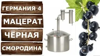 Как сделать ароматную водку? Мацерат из чёрной смородины на самогонном аппарате Германия 4.