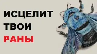 🐝 ПОДСТАВЬ РАНЕНОЕ МЕСТО ШМЕЛЮ.