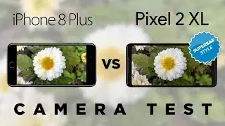 Google Pixel 2 XL vs iPhone 8 Plus Camera Test Comparison