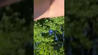 Прогулянка на самокаті:))