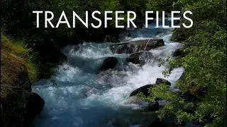 DJI Mini 4 Pro and Air 3 - Transfer Video Files To Phone or PC (Including Quick Transfer)