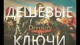 Купить Divinity Original Sin 2 недорого / где купить ключ Divinity Original Sin 2 / кейсы Steam
