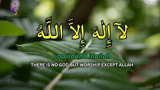 LAILAHAILLALLAH for Stress Relief Dzikir for Peace of Mind Fast Sleeping #35