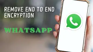 How to Remove End to End Encryption in WhatsApp