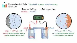 Electrochemical Cells [IB Chemistry SL/HL]