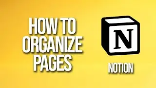 How To Organize Pages Notion Tutorial
