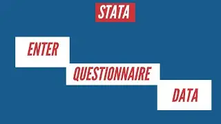 Enter Questionnaire Data in Stata | Survey Data in Stata