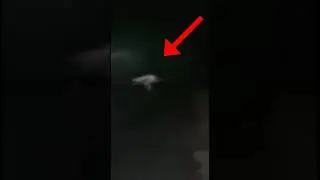 Are you afraid? 😳 