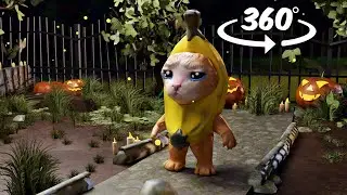 360° BANANA CAT in Real Life! VR Video