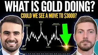 "A Move to $3000 Gold Shouldn't Surprise Anyone, What Does THAT Do To SILVER?  - Tavi Costa