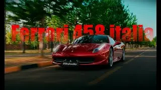 Ferrari после ДТП, лисица в бампере.