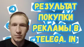 Продвижение в Телеграмм. Результат покупки рекламы в Telega. in.