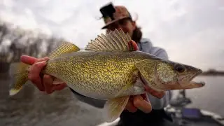 Mississippi River Spring Walleye Fishing! (Catch, Clean, Cook)