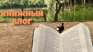 КНИЖНЫЙ ВЛОГ🎅🤩 уютная книга,банановый брауни и бразильский Санта-Клаус