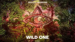 Meikle & Severman feat. Anthony Meyer - Wild One