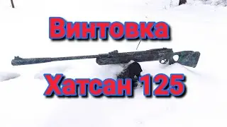 Обзор пневматической винтовки Hatsan 125
