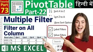 MS-EXCEL-73-Multiple Filter in Pivot Table | Multiple Columns Filter in Pivot Table | Hindi Tutorial