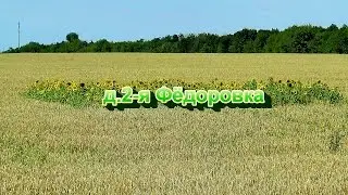 д. 2- я Фёдоровка Жердевского района