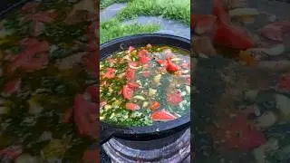 ДЕРЕВЕНСКАЯ ШУРПА ИЗ КУРИЦЫ