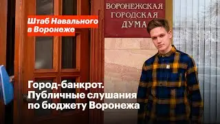 Город-банкрот. Публичные слушания по бюджету Воронежа