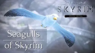 Skyrim SE: Mod Showcase - Seagulls of Skyrim