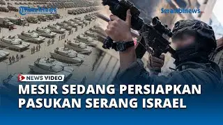 Zionis Mulai Siaga, Mesir Sedang Persiapkan Pasukan untuk Serang Israel