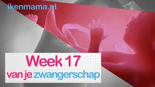 17 weken zwanger | ikenmama.nl