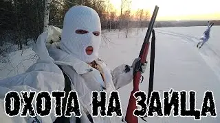 ОХОТА НА ЗАЙЦА нюансы снежного покрова, снаряжения, погода 