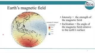 Sharks navigate using Earths magnetic field / Curr. Biol., May 6, 2021 (Vol. 31, Issue 13)