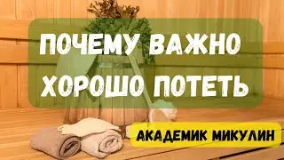 Академик Микулин. Зачем природа организовала потовыделение