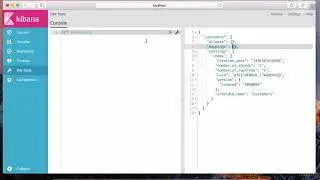 009 Lecture 8 Index Settings and Mappings Part 1