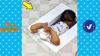 Funny & Hilarious Video People's Happy Life #30 😂 Try Not To Laugh Funny Videos 2024