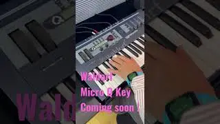 Waldorf Micro Q Keyboard Coming soon ! 