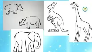 How to draw a rhinoceros, hippopotamus, kangaroo, giraffe and elephant step by step with explanation