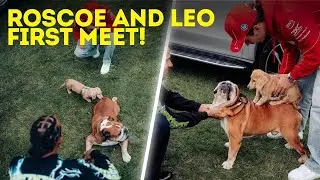 "Roscoe" Hamilton and "Leo" Leclerc meeting and playing together for the first time