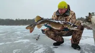 РЫБАЛКА НА ЖЕРЛИЦЫ НА ПЕРВЫЙ ЛЕД Ну что Бесмертные погнали