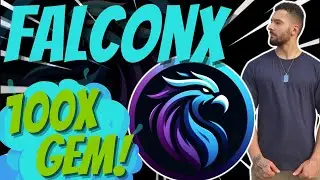 FalconX The Next 100x Solana Gem Token? KYC + DOXXED $FALX