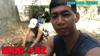 Review the process of growing lemongrass #vlog 82 - Xuân Long review | quá trình trồng cây Sả