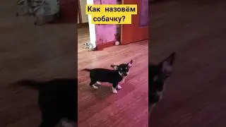 Имя имя сестраааа🤣