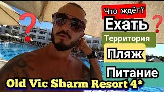 Египет🇪🇬 Old Vic Sharm Resort 4* Хадаба Территория Пляж Питание  Сервис