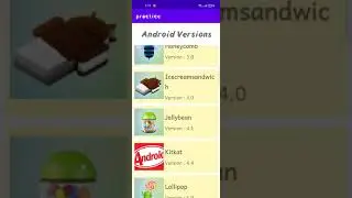 RecyclerView Example