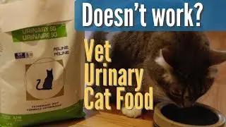 Don't Feed 'Veterinary Diet' for Urinary Disease in Cats?