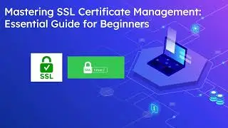 Mastering SSL Certificate Management: Essential Guide for Beginners